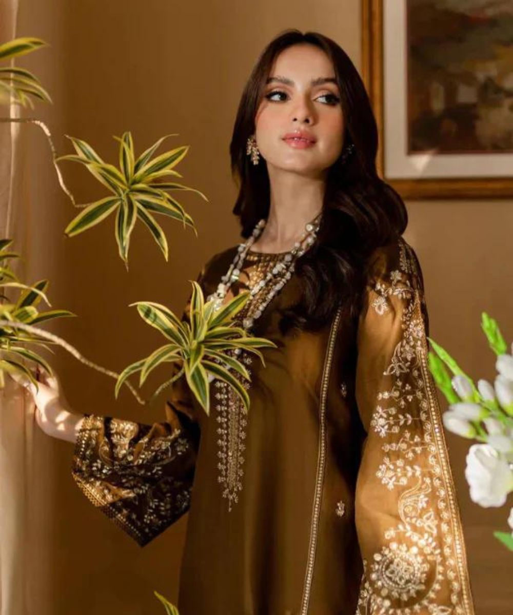 Batik Dhanak 2PC Embroidered-185